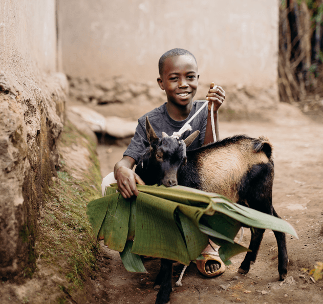 A goat for a home farm