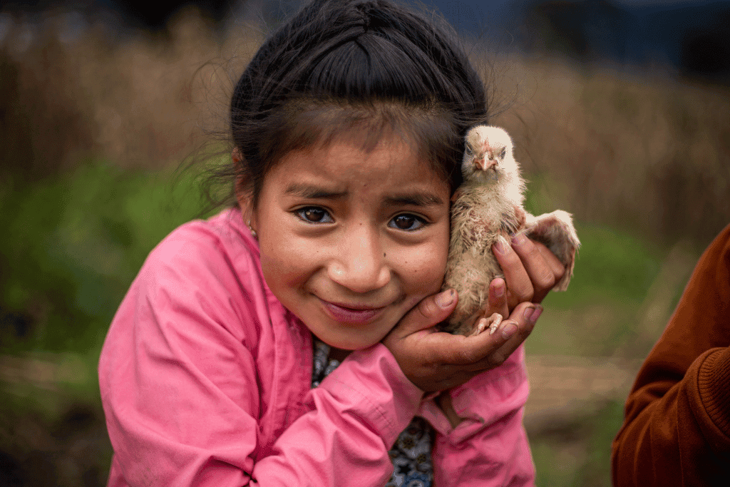 Heidi, 8 years, Ecuador, holds a chick. Chickens were our most popular gifts this year.