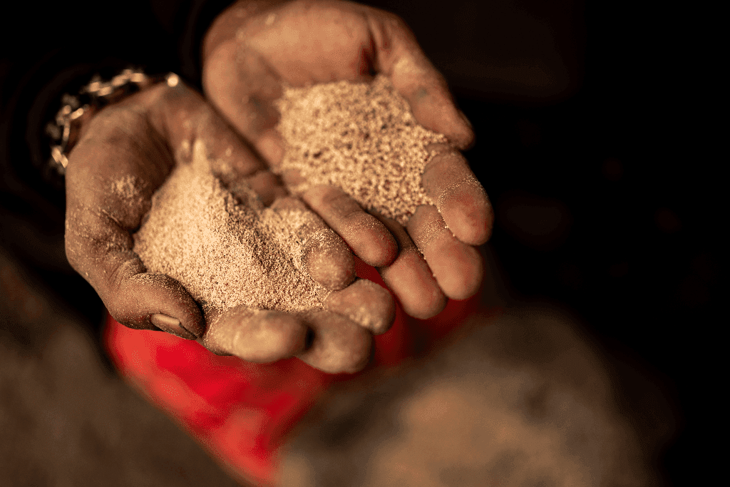 A close up of hands holding grain.
